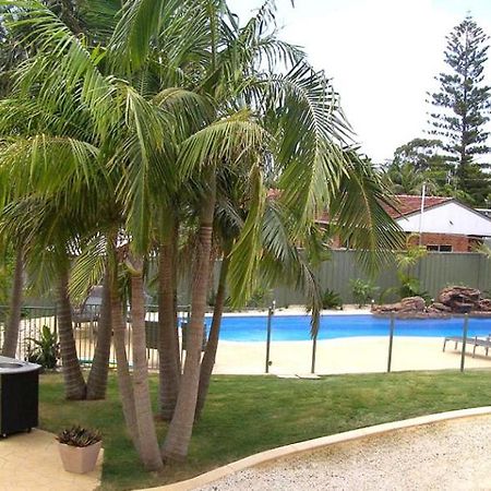 Koala Tree Motel Port Macquarie Εξωτερικό φωτογραφία