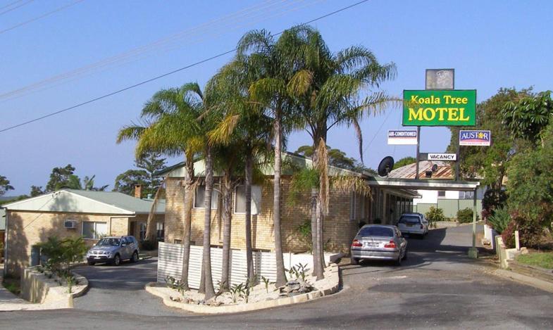 Koala Tree Motel Port Macquarie Εξωτερικό φωτογραφία