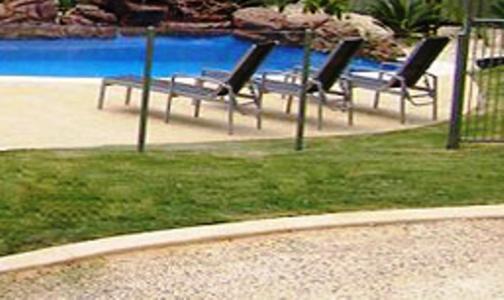 Koala Tree Motel Port Macquarie Εξωτερικό φωτογραφία